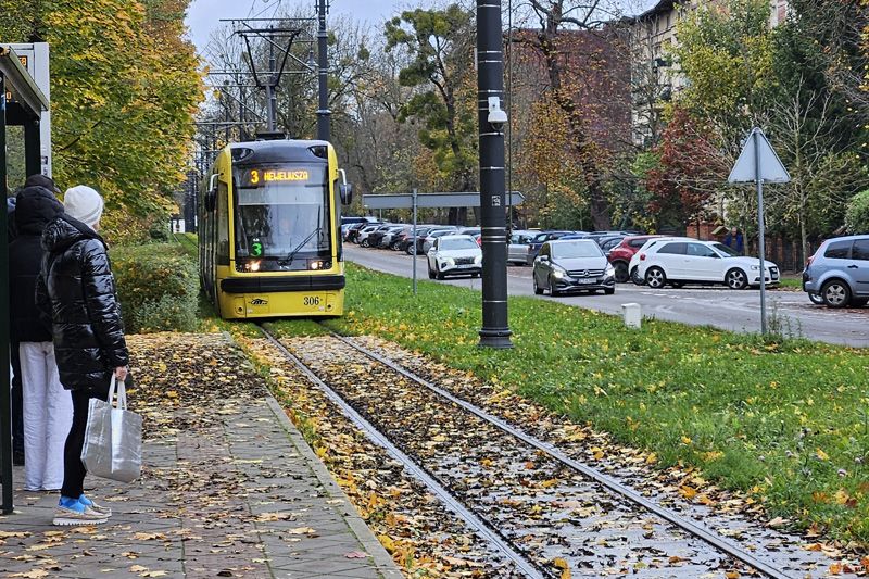 Jesień to co roku trudny czas dla tramwajów. W tym okresie na torowis...