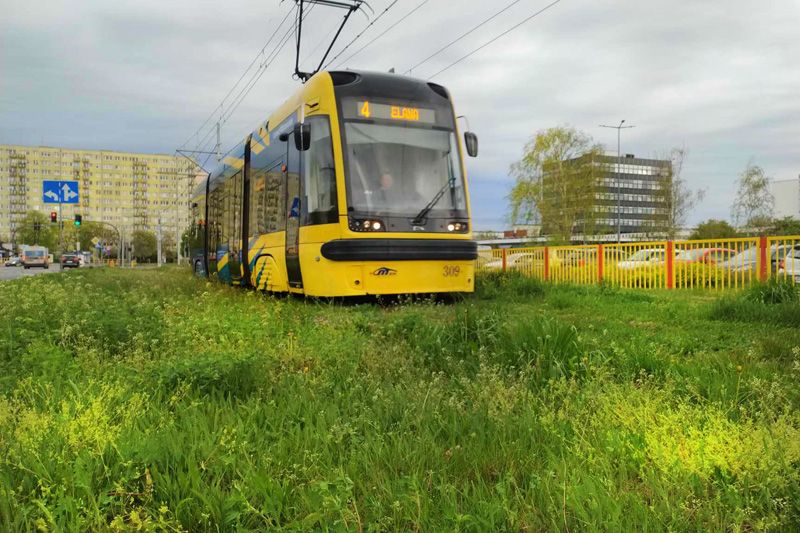 Autobus linii nr 113