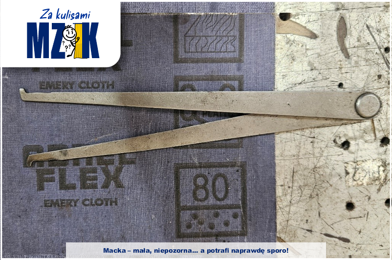 Jest niedużym narzędziem, które jednym przypomina pęsetę, drugim szczypce, a jeszcze innym pałe...