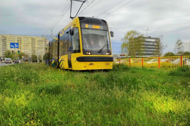 Tramwaj na zielonym torowisku